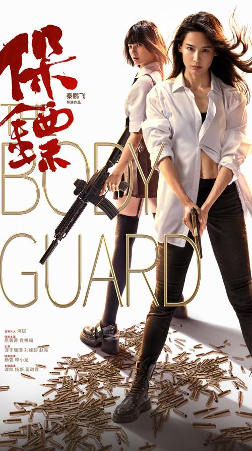 保镖电影完整版_电影保镖视频完整版_保镖h版电影在线观看