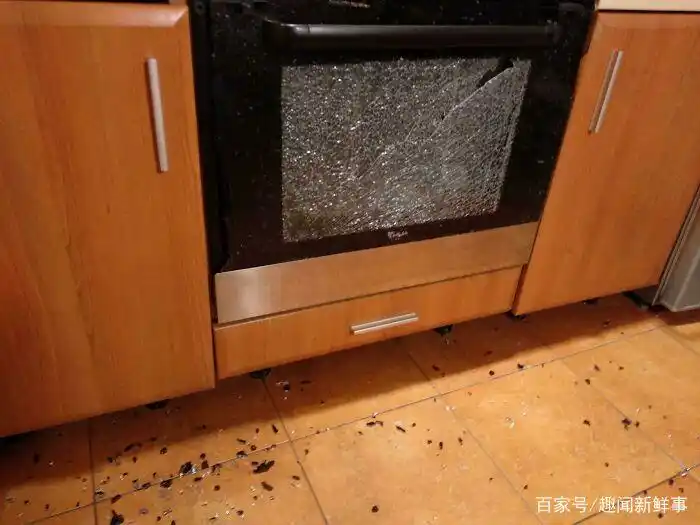 煮鸡蛋爆炸_明星黑暗料理图片大全高清,_烤箱食物失败案例